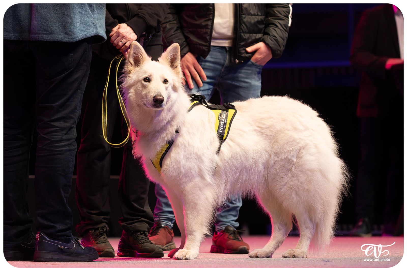 CEREMONIE DES CHAMPIONS